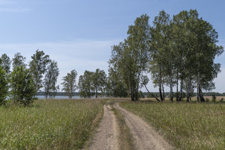 Дорога по берегу обского водохранилища