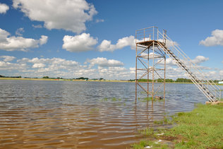 Щелочное озеро в Завьялово