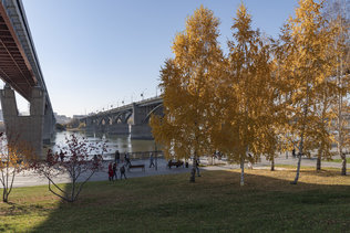 Золотая осень на набережной Новосибирска