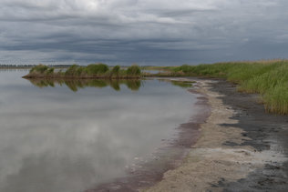 Солёный берег Мормышанского озера