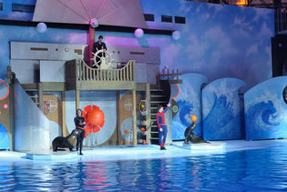 Цирковое представление с морскими животными