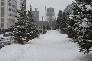 Снежный день в Новосибирске