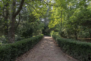 На прогулке по аллеям Никитского ботанического сада