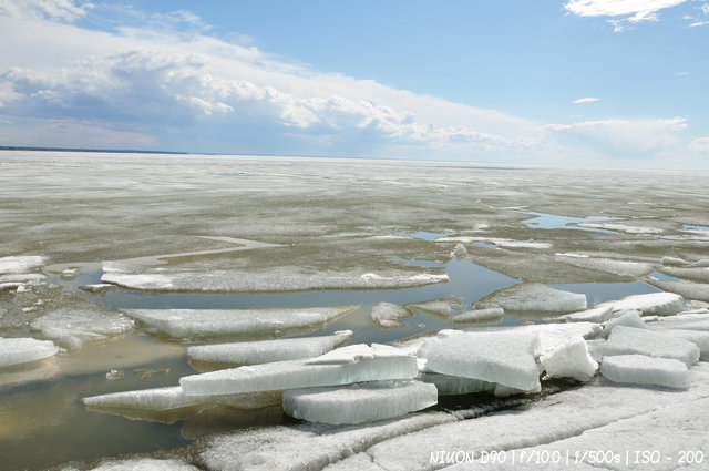 Льды обского моря