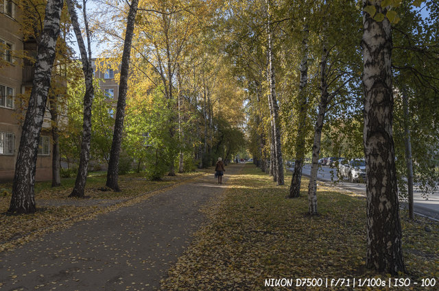 Осенний тёплый денёк в Новосибирске
