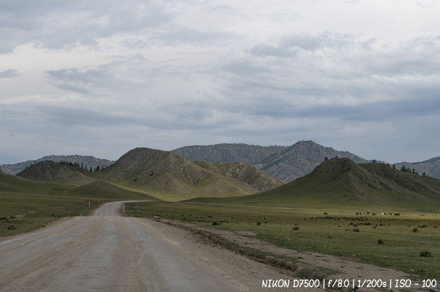 Дорожный пейзаж Усть-Коксинского района Республики Алтай