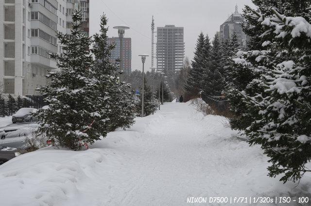 Снежный день в Новосибирске